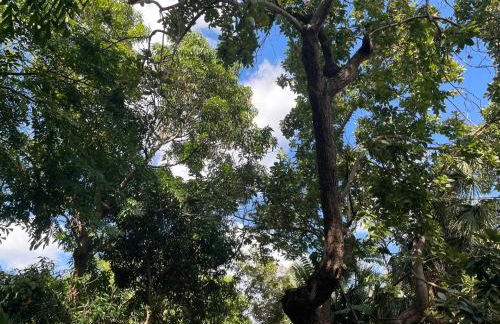 Tropical Paradise in Miracle Mile with Parking - Foto 21