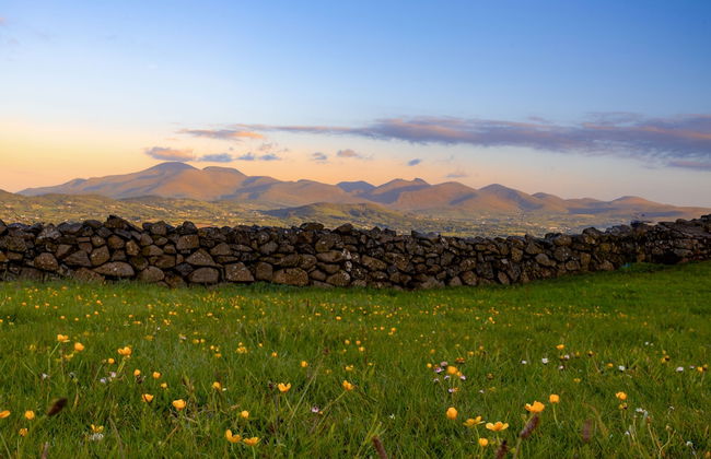 The Heights & Hollows Farmhouse - Foto 48