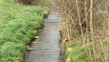 Ferienwohnung im Aalbachtal - Uettingen bei Würzburg - Foto 3