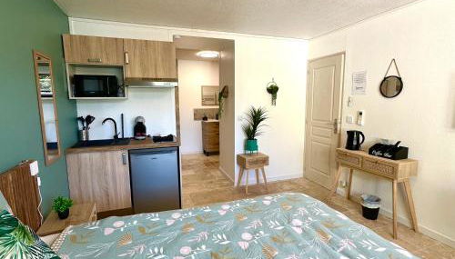 Les Appartements du Mas - Studio Amazonite - Foto 2