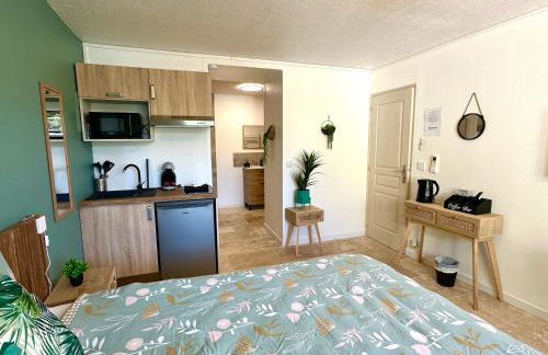 Les Appartements du Mas - Studio Amazonite - Foto 2