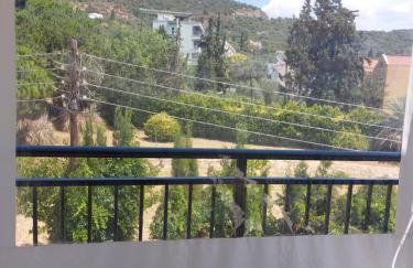 Luminosa Seaview Apartment - Photo 21