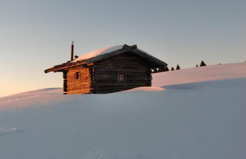 Baumgartnerhof - Foto 34