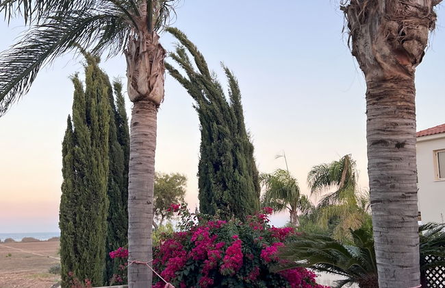 Larnaca Chelidonia Seafront Villa - Foto 20