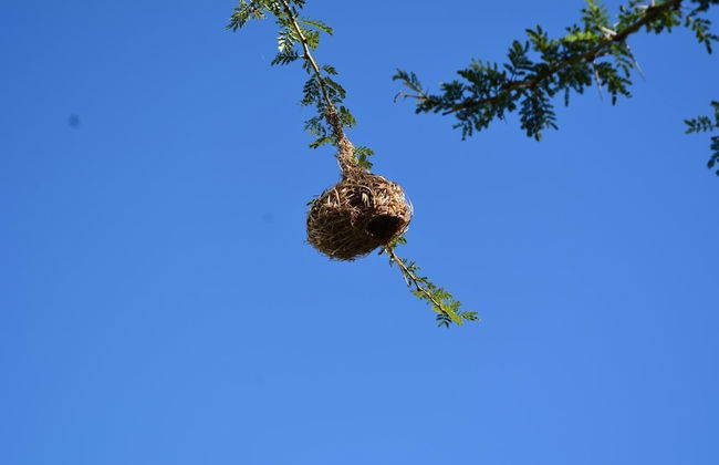 Gecko Cottages - Foto 17