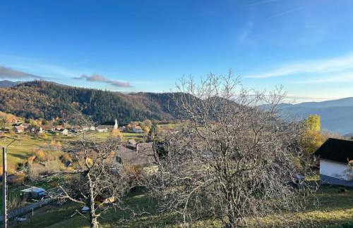 La Fermette des Vallons - Jacuzzi - Billard - Foto 49