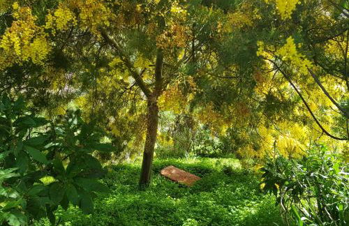 Cuevas De Barreto - Foto 56