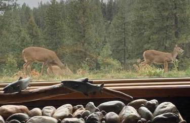 Cozy Lakeview Cabin - Foto 21