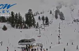 Gingerbread Gardens - Foto 39