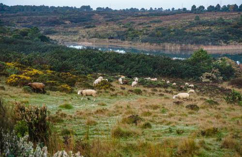 maresoul - Ferienapartment soul - Foto 16