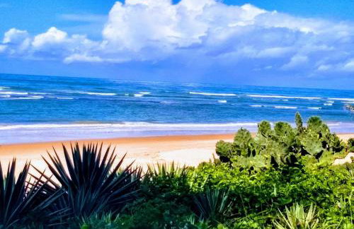 Guarajuba - Genipabu Summer House (Flat beira mar) - Foto 3