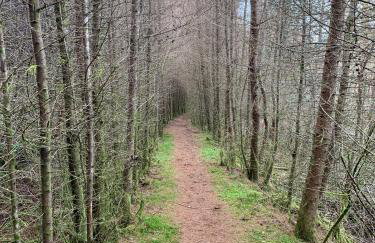 The Clachan Flat - Foto 25