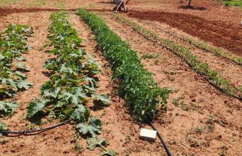 DIMORA SULLA COLLINA - Foto 31