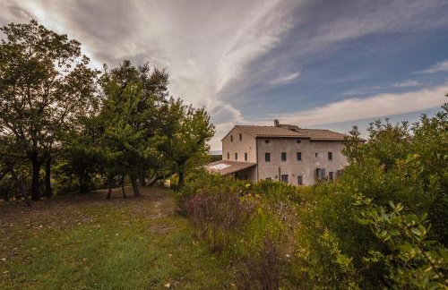 Podere San Niccola - Foto 18