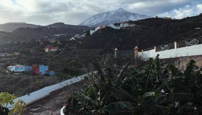 Chicho's Home - Foto 2