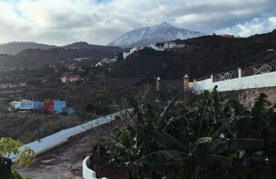 Chicho's Home - Foto 2