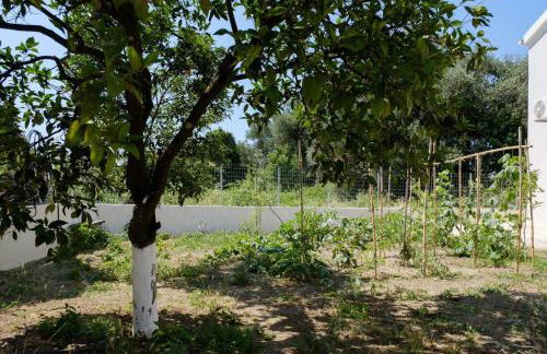 Villa Xampelo - Foto 22