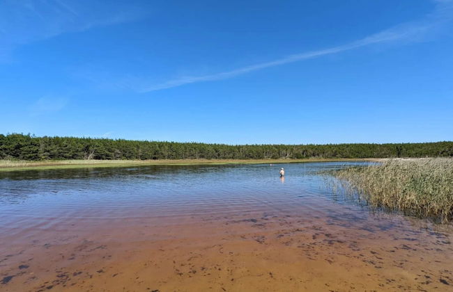 8 Person Holiday Home in Ulfborg - Foto 39