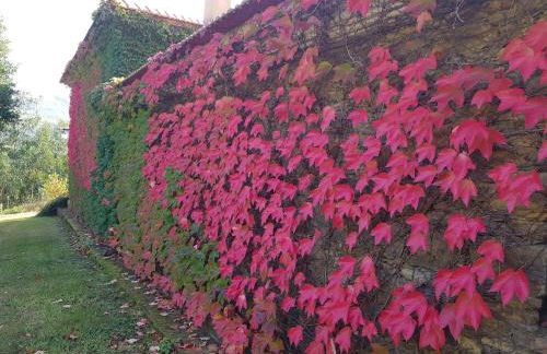 T3 Quinta da Melroa - Mountain Villa - Caramulo - Photo 39
