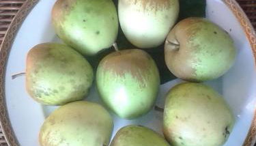 Talonno il frutteto - Foto 4