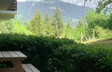 Le cocon du Bettex 1400 - Cozy Apt near Mont Blanc - Photo 15