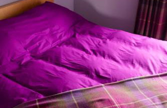 Number Five - Foto 9