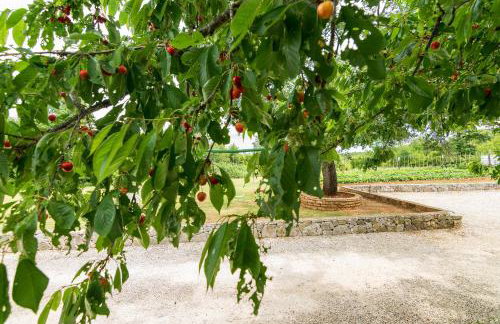 Apartments Korina - Photo 29