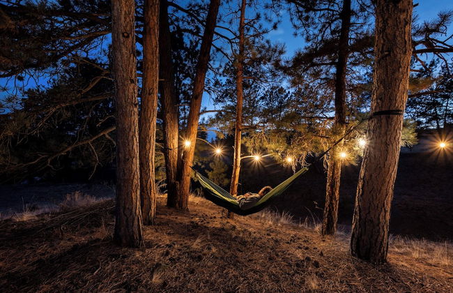 Acute Cabin - Foto 38