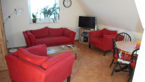 Sonnenblume - Foto 3