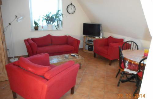 Sonnenblume - Foto 3