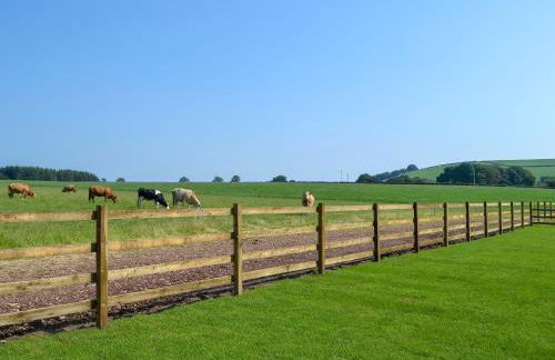 Auchen Ladder - Photo 17