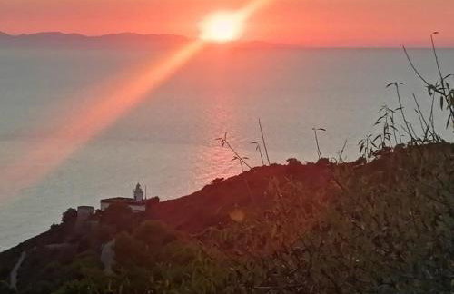 L' Elicriso - Photo 7