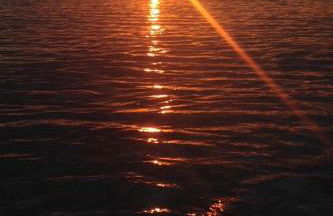 Kalama Apartments - Foto 57