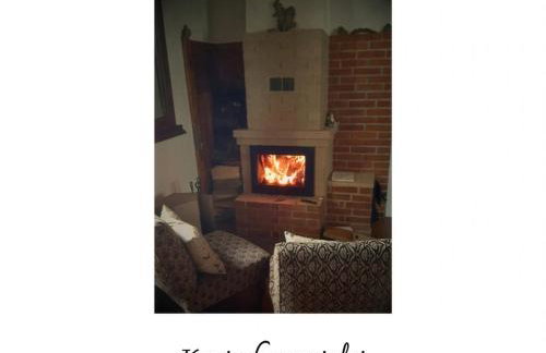 Willa Witówka - Foto 4