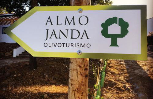 Almojanda 3 olive tree - Foto 63