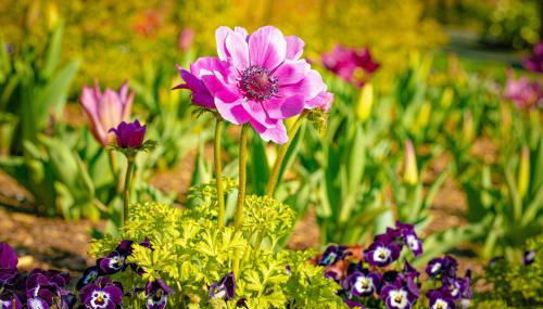 ShortLong Stays Welcome! Hot tub, Dog Friendly! - Foto 2