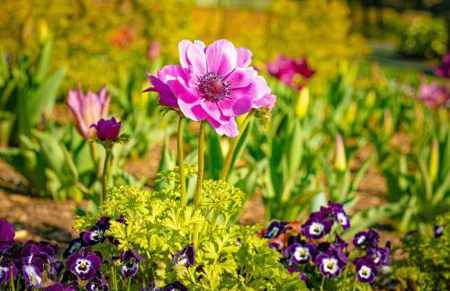 ShortLong Stays Welcome! Hot tub, Dog Friendly! - Foto 2