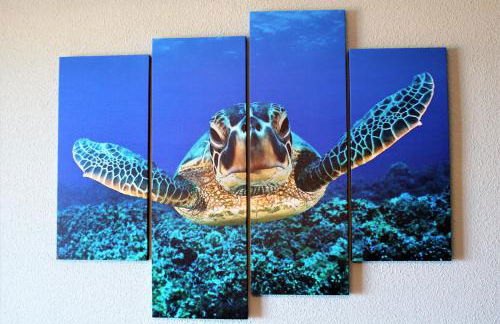 Tortuga Flat - Photo 5