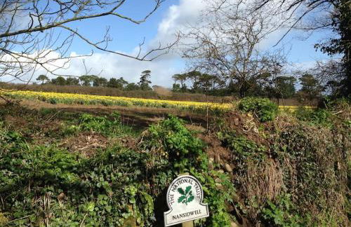 Little Bream - pretty cosy cottage, sea views, walk to the beach - Foto 36