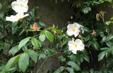 La Loge de Gabrielle - gîte - 3 étoiles - Foto 31