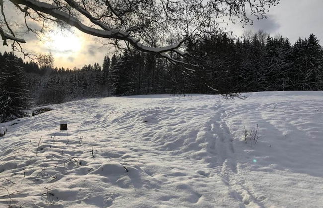 Comfortable Apartment in Nemojov Near Forest - Foto 78