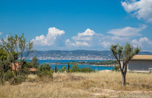 Studio Gerani 1 - Foto 9