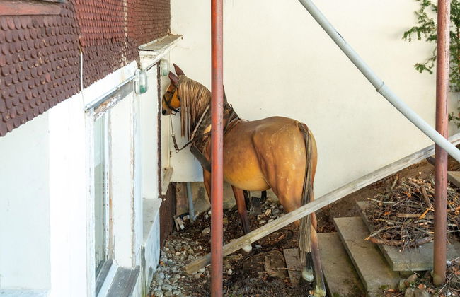 Idyllic Apartment in Sibratsgfall - Photo 18