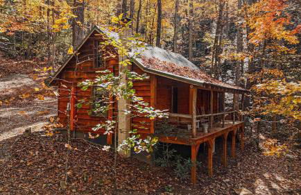 High Top cabin at Cabin Fever in NC - Foto 2