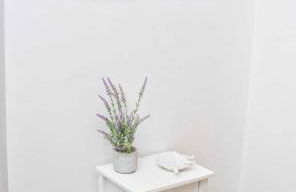 Los Perales,Tacoronte - Foto 8