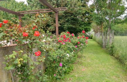 Aradia Casa a Tema Celtico Magico Naturalistico del Casale LaBandita - Foto 22