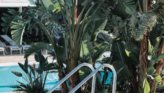 Prinsotel La Caleta - Foto 5