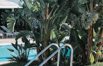 Prinsotel La Caleta - Foto 5