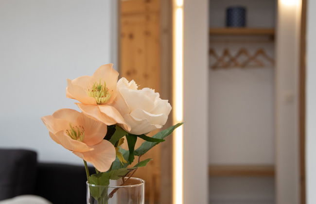 Galaxie 110 - Foto 9