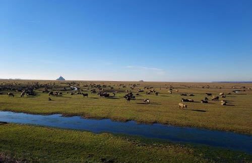 La Clé du Génie - Foto 40